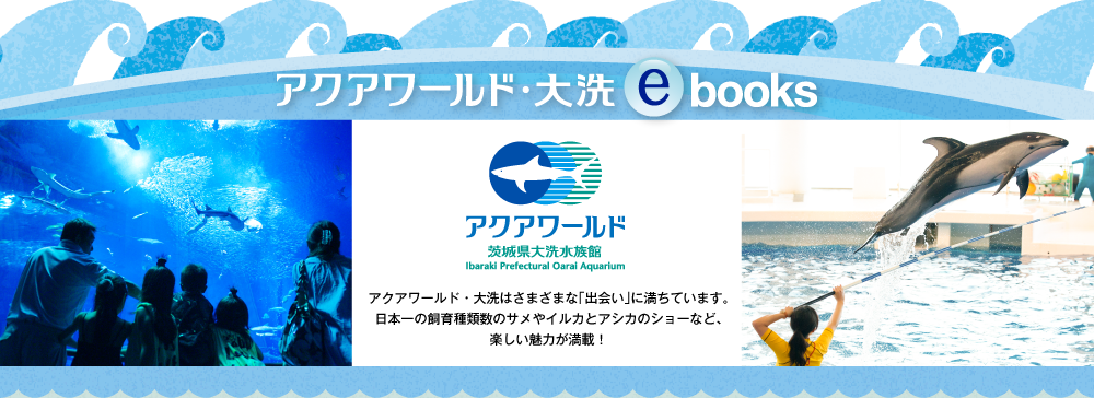 aquaebooks