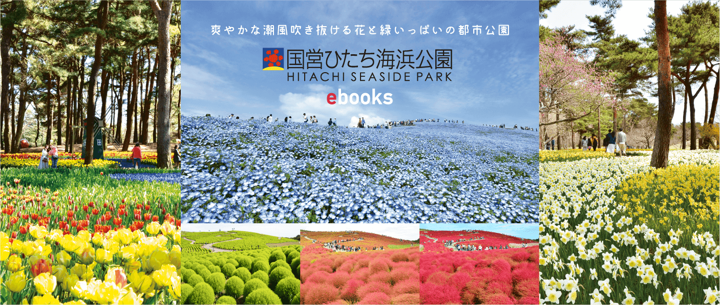 ひたち海浜公園ebooks